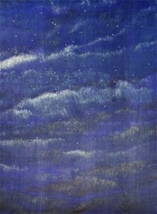Night Sky with Stars on Blue Velour Backdrop