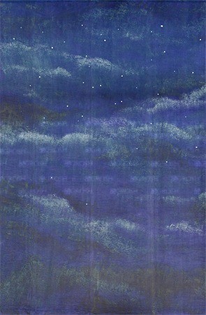 Night Sky with Stars on Blue Velour Backdrop