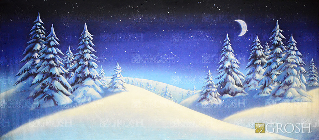 Moonlit Night Snow Landscape