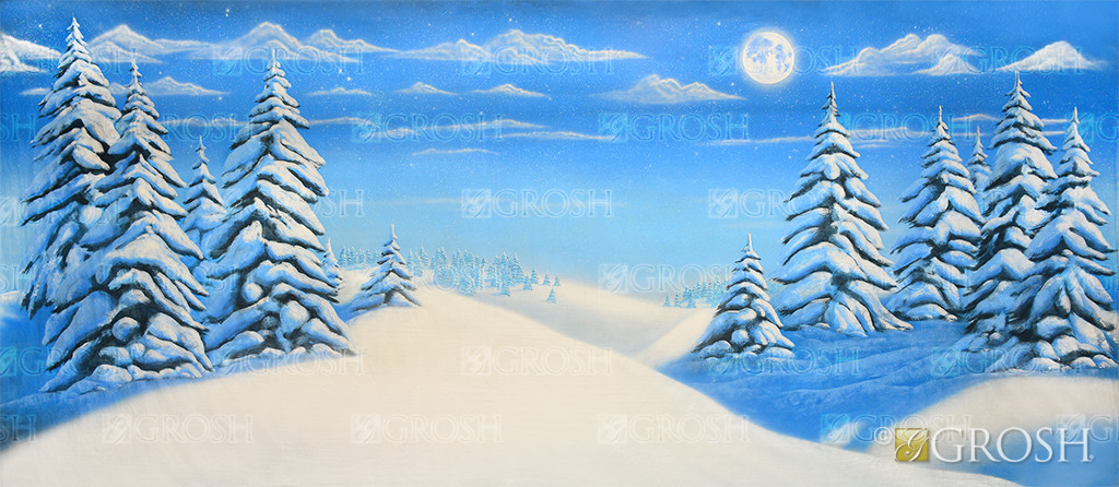 New Moon Night Snow Landacape Backdrop