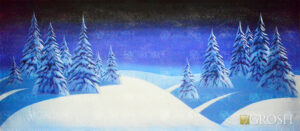 Starry Night Snow Landscape Backdrop