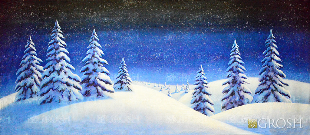 Starry Night Snow Landscape Backdrop