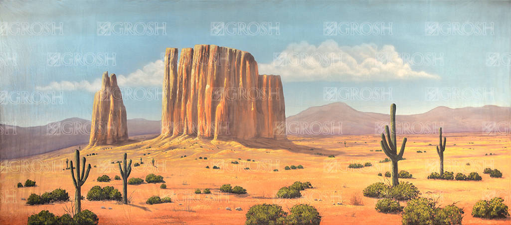 Western Desert Backdrop