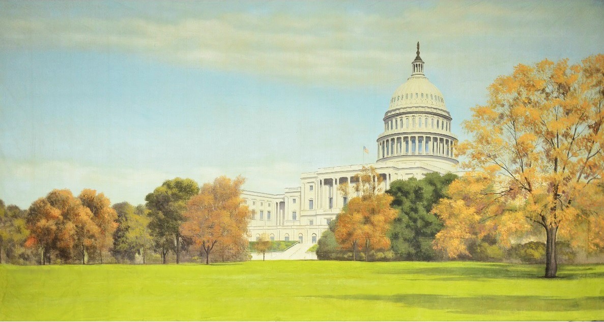 Washington DC Building Backdrop