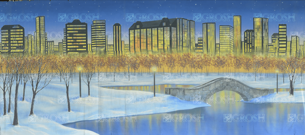 Snowy Central Park Backdrop