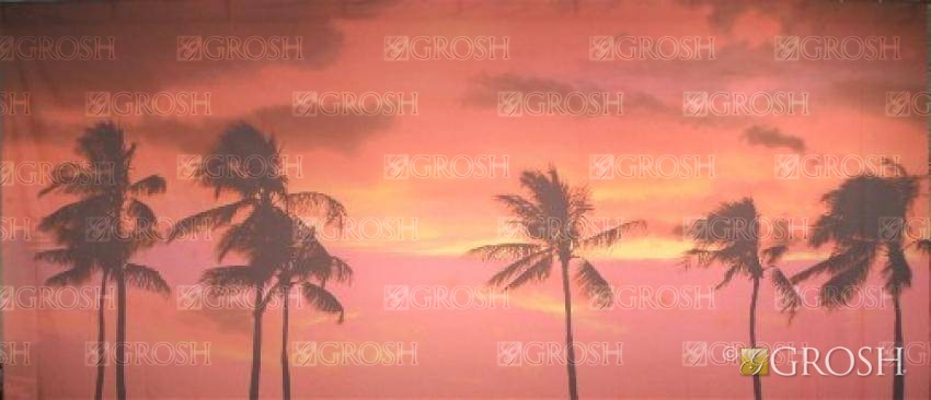Sunset Palm Trees Backdrop