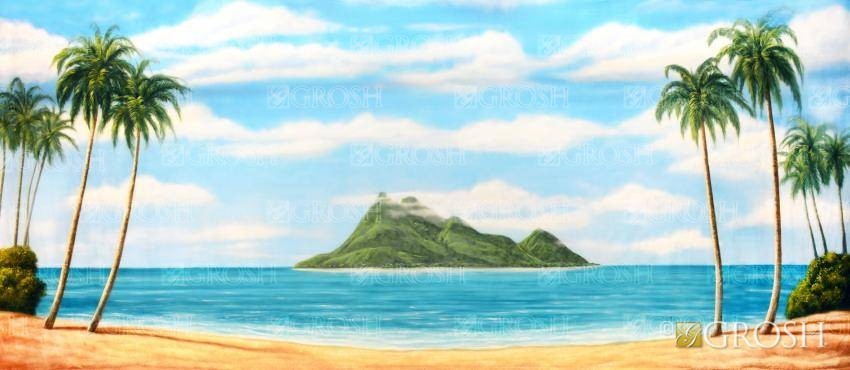 Tropical Island Backdrop