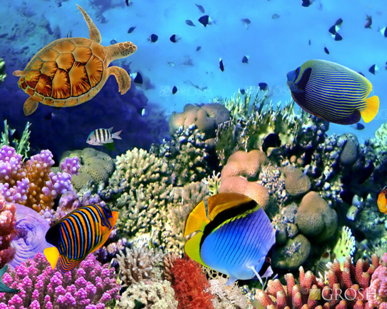 Underwater Coral Reef v2 3 1