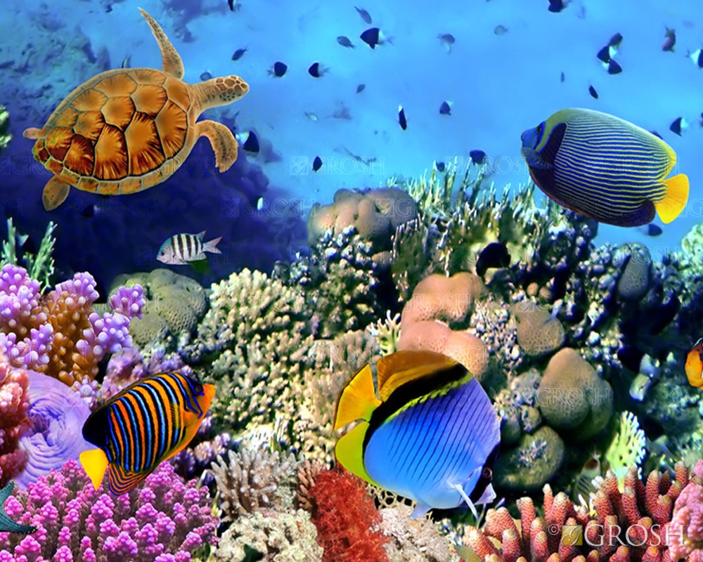 Underwater Coral Reef Pop-Up Drop Backdrop
