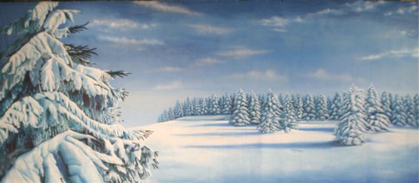 Winter Scene Backdrop