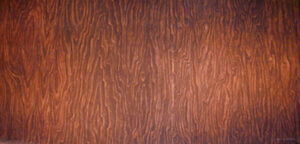 Wood Panelled Interior Backdrop