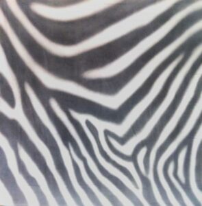 Zebra Print Backdrop
