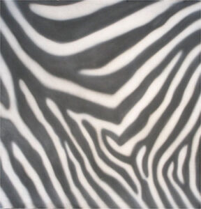 Zebra Print Backdrop