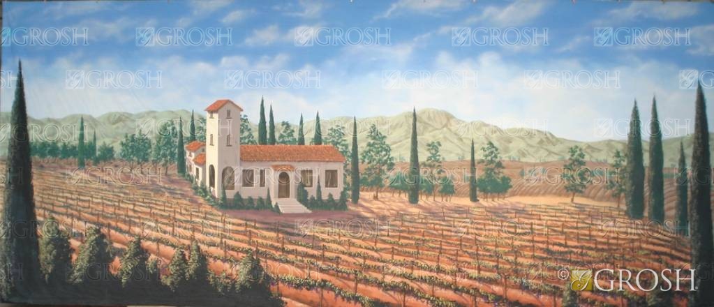 Vineyard Surrounding Villa